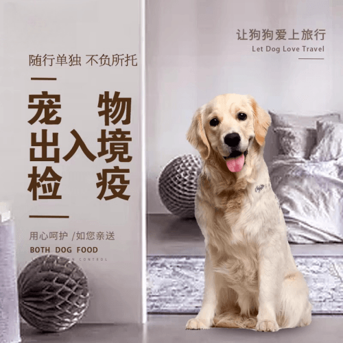 德州市宠物托运到哥伦比亚猫狗宠物入境规定和