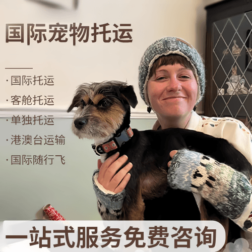 德州市国际宠物托运到阿根廷宠物入境规定和要