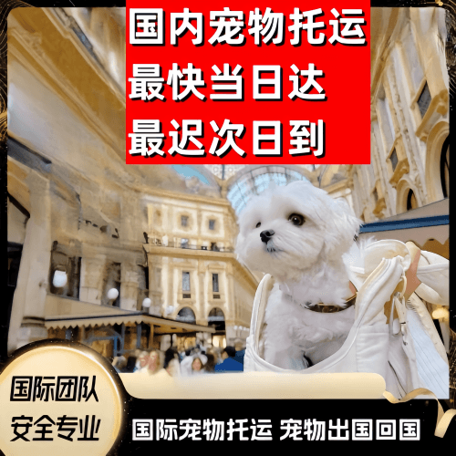 德州市到澳大利亚（澳洲）宠物入境规定和要求